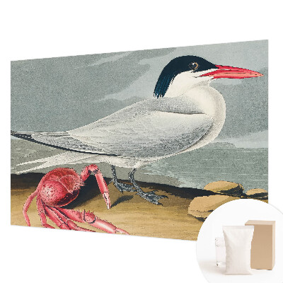 Fototapeta Morska pokrajina