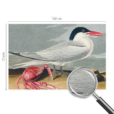 Fototapeta Morska pokrajina