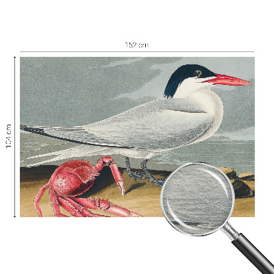 Fototapeta Morska pokrajina