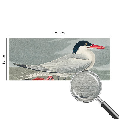 Fototapeta Morska pokrajina