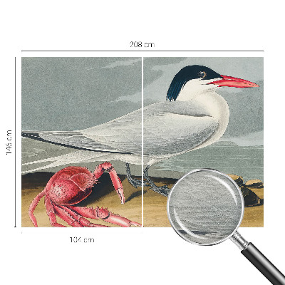 Fototapeta Morska pokrajina