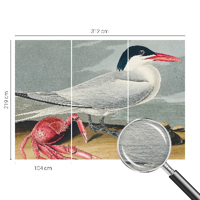 Fototapeta Morska pokrajina