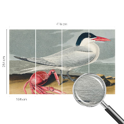 Fototapeta Morska pokrajina