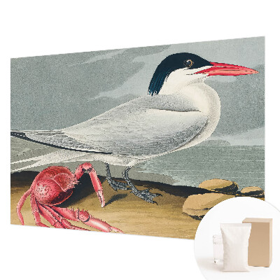 Fototapeta Morska pokrajina