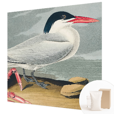 Fototapeta Morska pokrajina