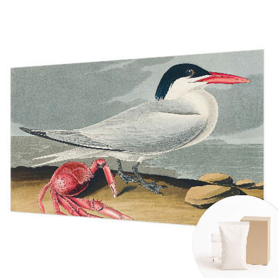 Fototapeta Morska pokrajina