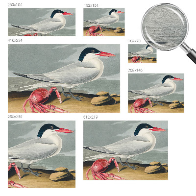 Fototapeta Morska pokrajina