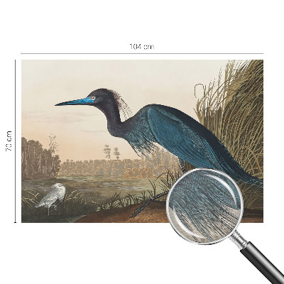 Fototapeta za dnevno sobo Vodne ptice