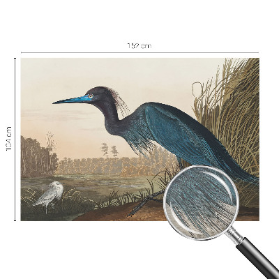 Fototapeta za dnevno sobo Vodne ptice