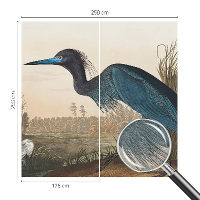 Fototapeta za dnevno sobo Vodne ptice