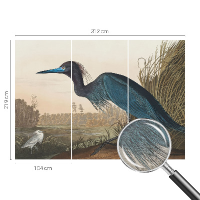 Fototapeta za dnevno sobo Vodne ptice