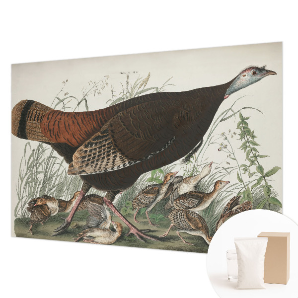 Fototapeta s tiskom Naravna harmonija