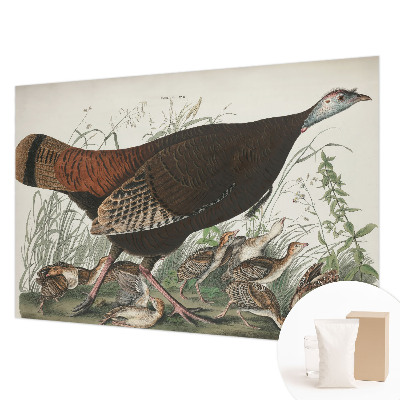 Fototapeta s tiskom Naravna harmonija