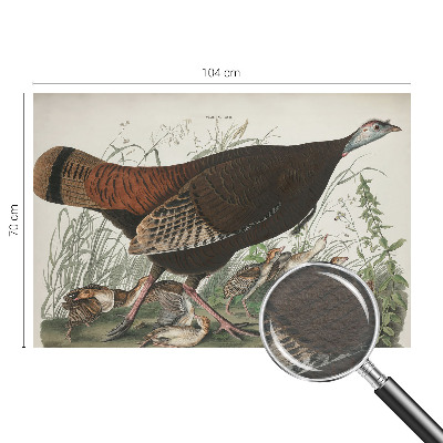 Fototapeta s tiskom Naravna harmonija