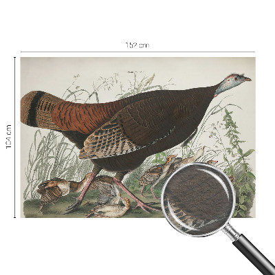 Fototapeta s tiskom Naravna harmonija