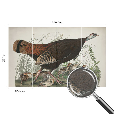 Fototapeta s tiskom Naravna harmonija