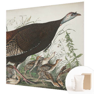 Fototapeta s tiskom Naravna harmonija