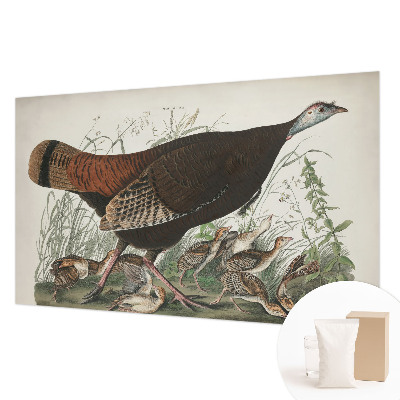 Fototapeta s tiskom Naravna harmonija