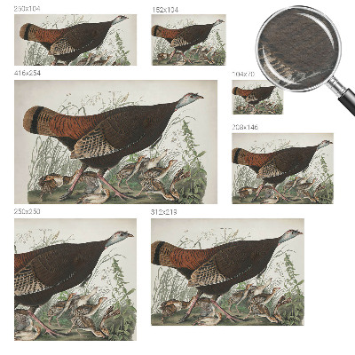 Fototapeta s tiskom Naravna harmonija