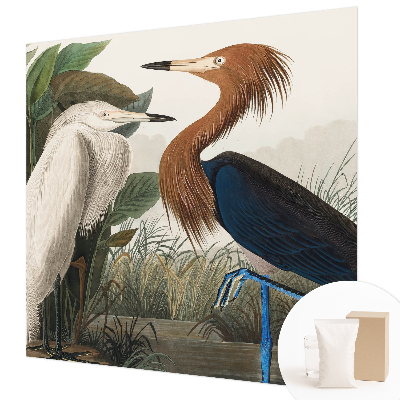 Flis fototapeta Ptice v rastlinah