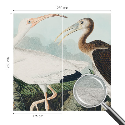 Foto tapeta Ptičji par