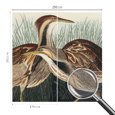 Netkana fototapeta Realistične ptice