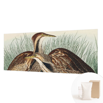 Netkana fototapeta Realistične ptice