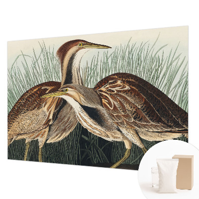 Netkana fototapeta Realistične ptice