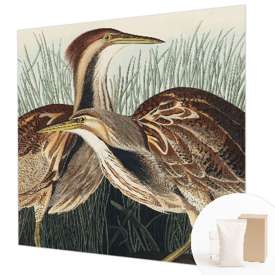 Netkana fototapeta Realistične ptice