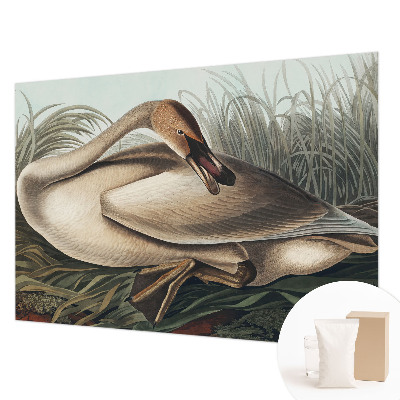 Stenska fototapeta flis Naravna ptica