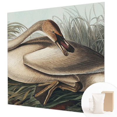 Stenska fototapeta flis Naravna ptica