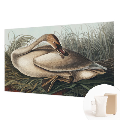 Stenska fototapeta flis Naravna ptica