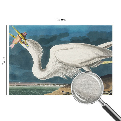 Fototapeta za spalnico Ptica z ribo