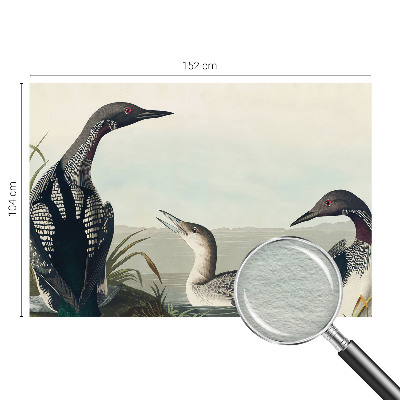 Fototapeta za steno Ptice nad vodo