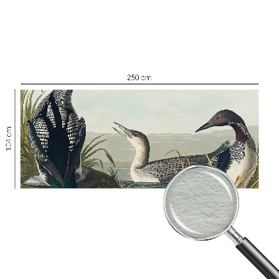 Fototapeta za steno s motivom ptic nad vodo