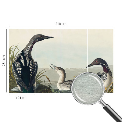 Fototapeta za steno Ptice nad vodo