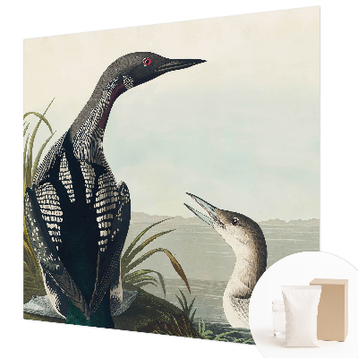 Fototapeta za steno Ptice nad vodo