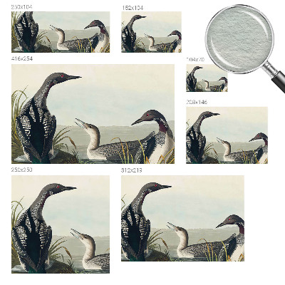 Fototapeta za steno Ptice nad vodo