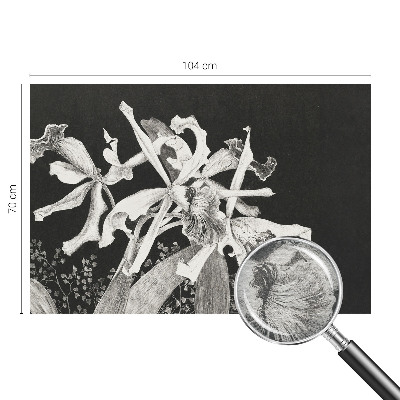 Fototapeta po meri Ilustracija orhideje