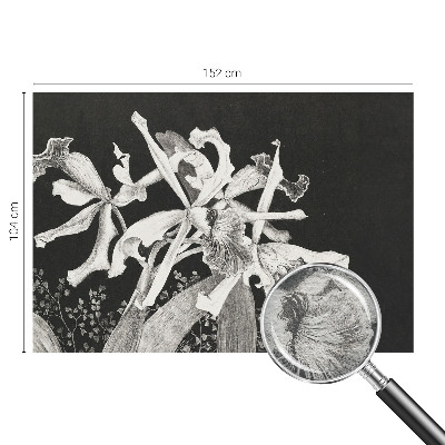 Fototapeta po meri Ilustracija orhideje