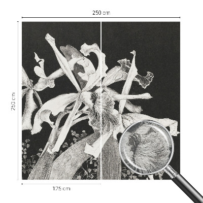 Fototapeta po meri Ilustracija orhideje