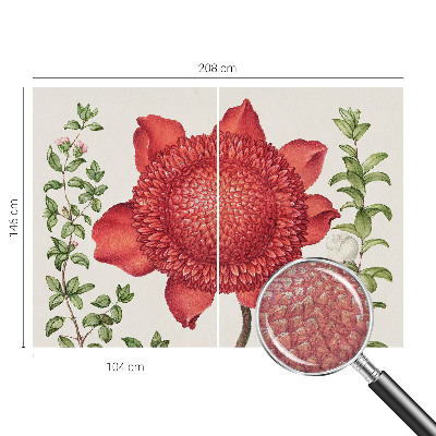 Visokokakovostna fototapeta Cvetlična eleganca