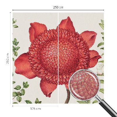 Visokokakovostna fototapeta Cvetlična eleganca