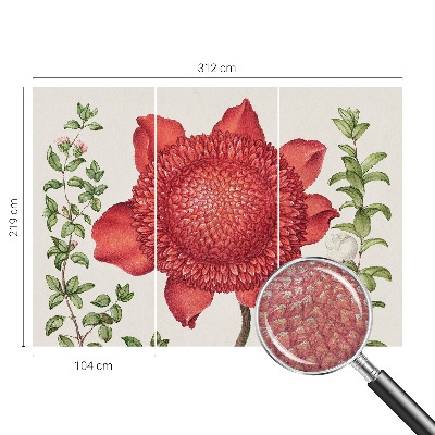 Visokokakovostna fototapeta Cvetlična eleganca