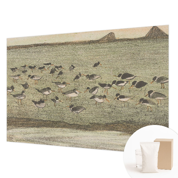 Foto tapeta Ptičji mir