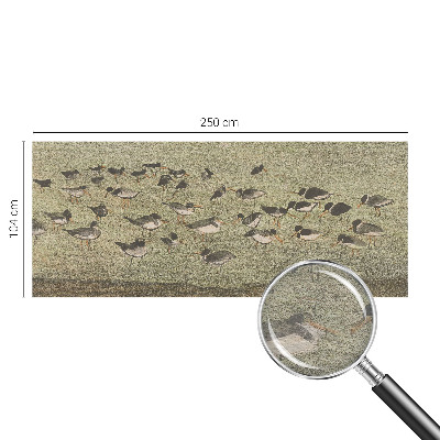 Foto tapeta Ptičji mir