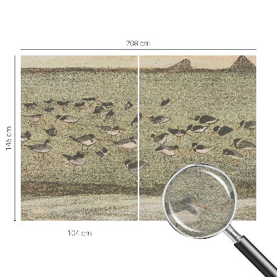 Foto tapeta Ptičji mir