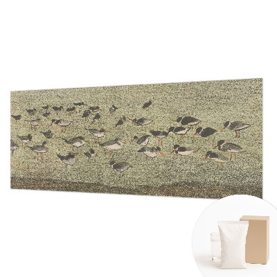 Foto tapeta Ptičji mir