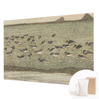 Foto tapeta Ptičji mir