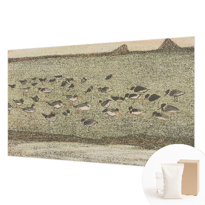 Foto tapeta Ptičji mir